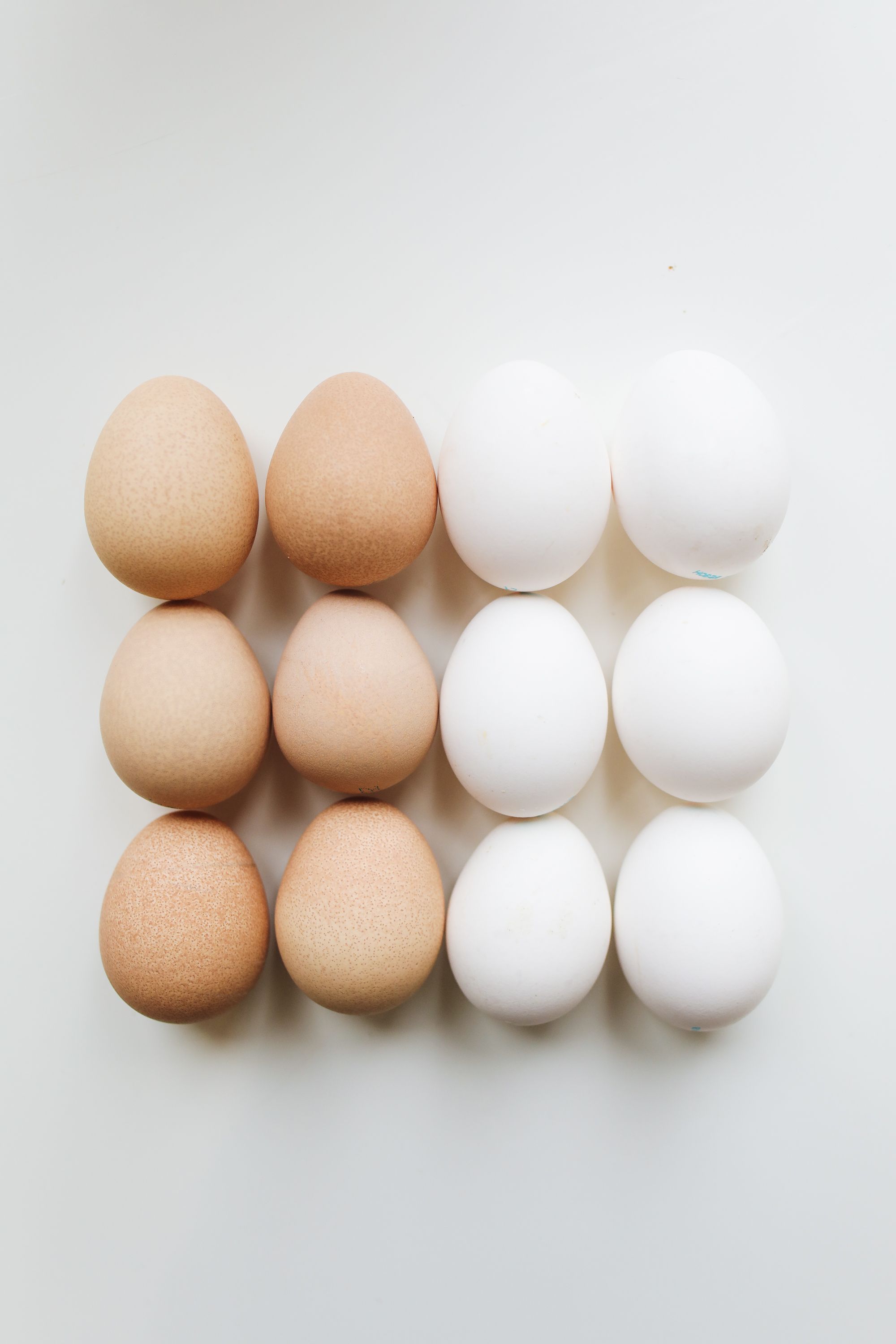Fresh table eggs